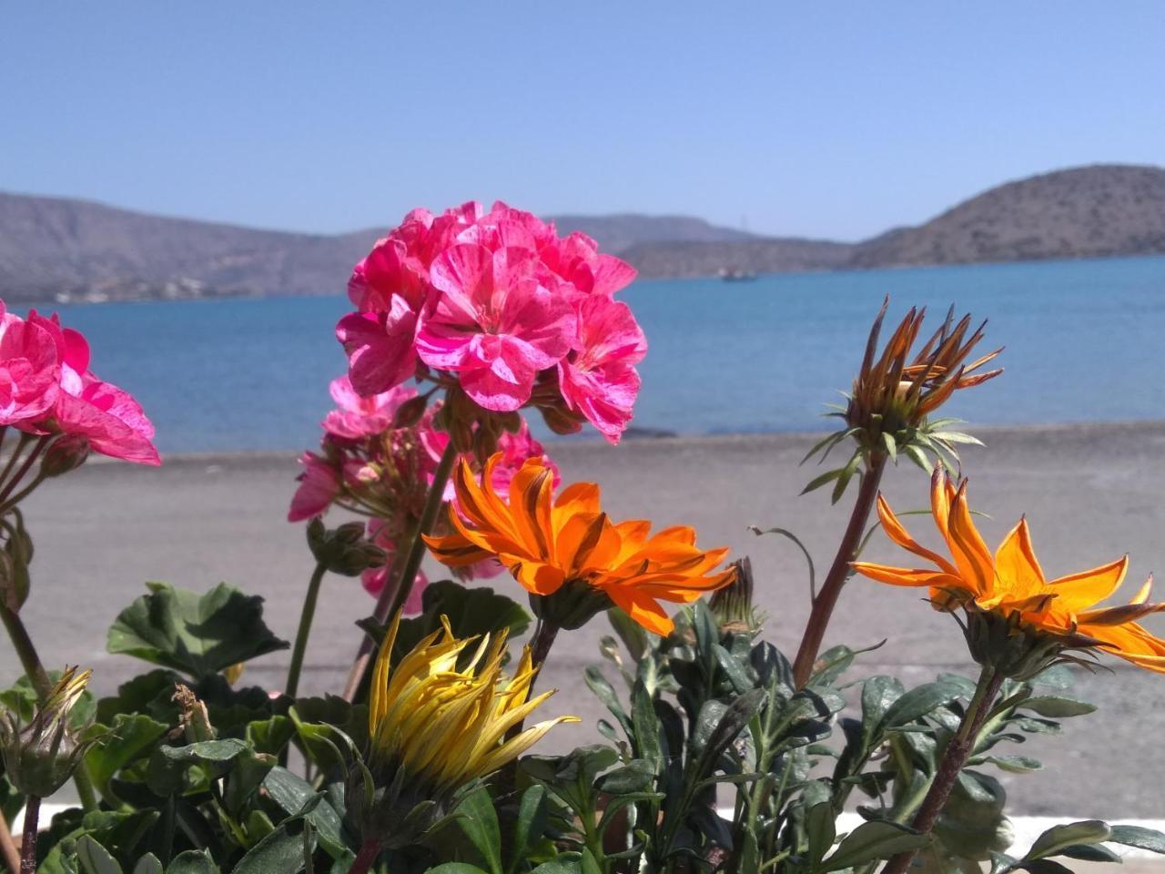 Hiona Seaside Apartment Elounda  Bagian luar foto